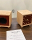 box-clocks