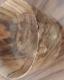 20230808_185049