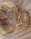 20230808_185051