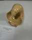 st_legallted_130108_01