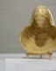st_legallted_130108_02