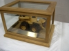 st_toddsteven_130108_06